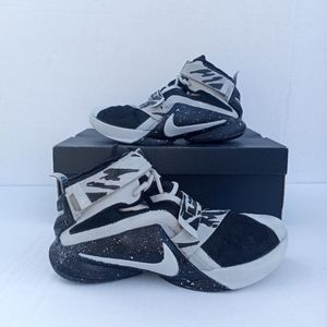 Custom Painted Nike LeBron's